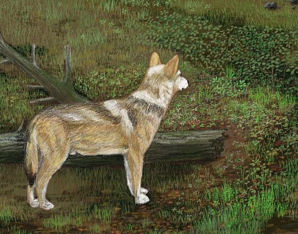 Wolves in the Forest – detail 2